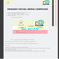 Organic Social Media Campaign
