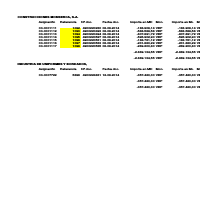 Payables account detail