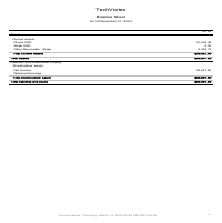 Software Company Balance Sheet