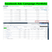 Facebook ads Champaign 