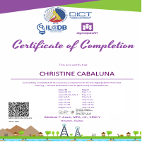 Certificate of Completion
