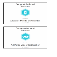 Google Ads Certificates
