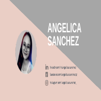 Social Media Portfolio