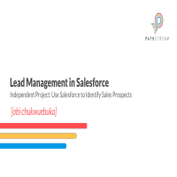 Lead generation and management Salesforce .