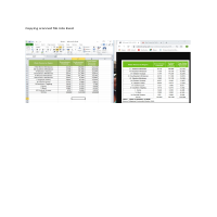 Copying scanned file into Excel File