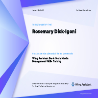 Wings Social Media Mgt Cert