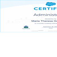 Salesforce Certificate - Administrator