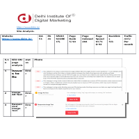 Audit Report