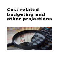 Budgeting Assignment