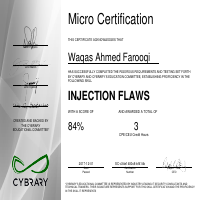 Injection Flaws