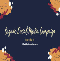 Organic Social Media Campaign