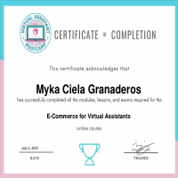 E-commerce Virtual Assistant 