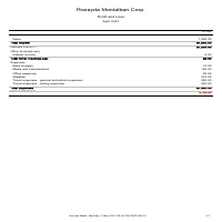 Profit & Loss Report-sample only (practical test)