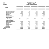 Profit and Loss Created for client