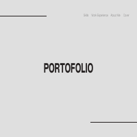 Professional Portfolio