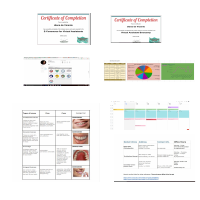 Certification & sample projects