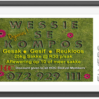 Advertisements/Flyers