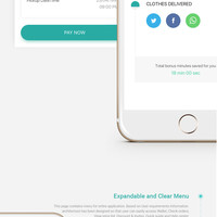 Remphi Hybrod App