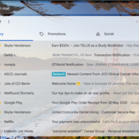 Email Management