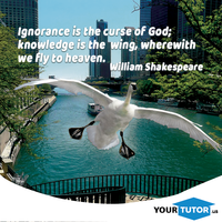 Publication or yourtutor.us