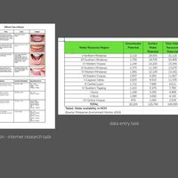 Internet research, data entry tasks.