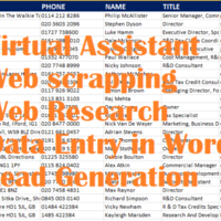 B2B Leads Generation