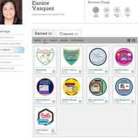 Learning Badges in Freelancing