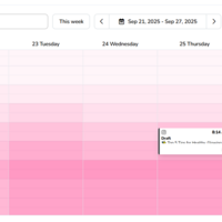 Sample of scheduled posts with metricool
