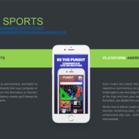 Pundit Sports