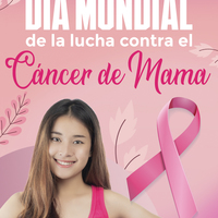 Portfolio Thumbnail 2