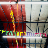 Fiesta lightings