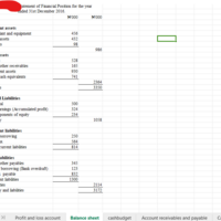 Excel Computation of Balance Sheet