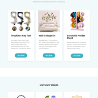 Brantics Products WordPress Website