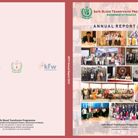 Report Cover Page