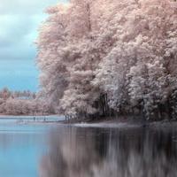 Infrared photography with an unmodified DSLR