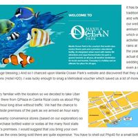 Wordpress Blog