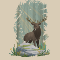 Portfolio Thumbnail 1