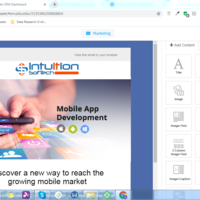 Email Newsletter Creation