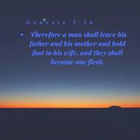 Making graphics using Canva