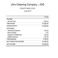 Quickbooks Online Profit and Loss