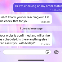 Customer Checking Order Status