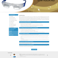 Artificial Eye Co