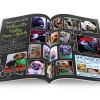 Magazine Design
