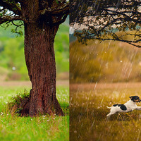 Professional-photo-retouching-services