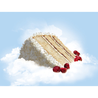 Editorial Illustration "Raspberry Torte"