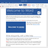 Microsoft Word