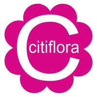 SEO and Web Design Client