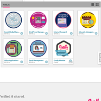 These are the credly badges I earned.