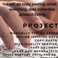 Data  entry project