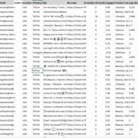 Influencers Build Brands